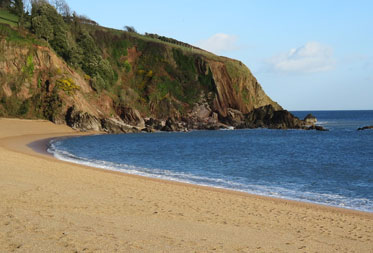 Dog friendly Museums and Castles in Devon
