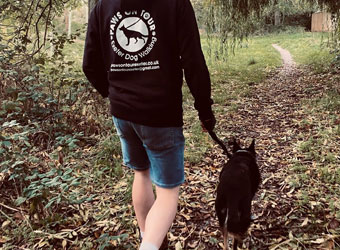 Paws On Tour