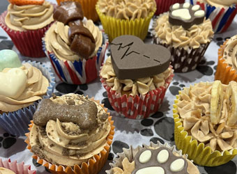Pupcakes