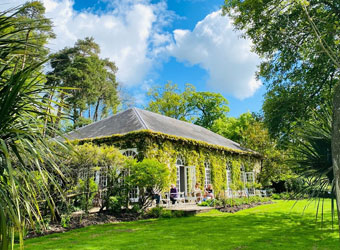 Orangery Cafe
